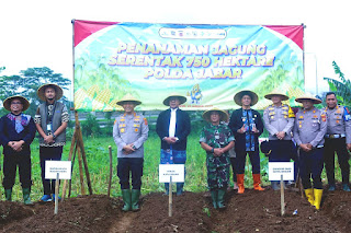 Pemkot Dukung Ketahanan Pangan Nasional Lewat Penanaman Jagung Serentak 