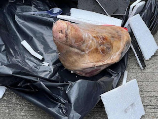 Istana Terseret Teror Kepala Babi, Namun Tak Disentuh Ketika Wartawan Dibunuh 