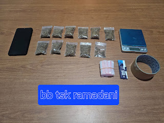 Transaksi di Medsos, Pengedar Tembakau Sintetis ditangkap Sat Narkoba Polresta Bogor Kota