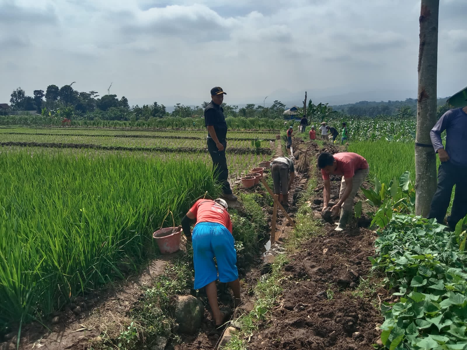 Ujang Suhendra Kades Sukaharja Kawal Pembangunan P3A