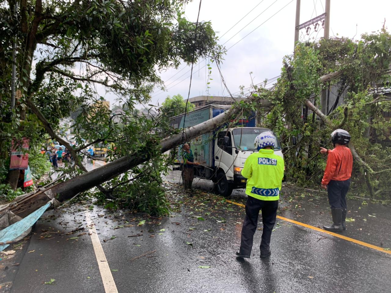 Polisi Evakuasi Sebuah Truk Tertimpa Pohon Tumbang di Dramaga Bogor