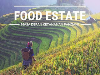 FOOD ESTATE, Kegagalan atau Perencanaan?