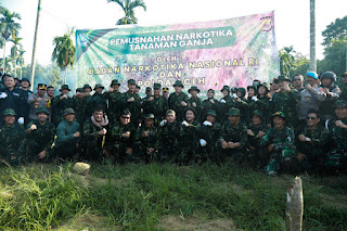 KEPALA BNN RI PIMPIN PEMUSNAHAN LAHAN GANJA DI ACEH UTARA