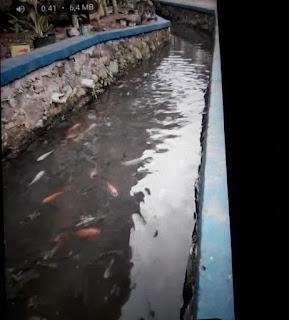 Capaian Kinerja Desa Cimanggu II 