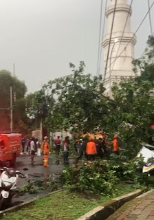 Petugas BPBD Kota Bogor sudah berada di-Lokasi Untuk Melakukan Evakuasi Terhadap Material Pohon.