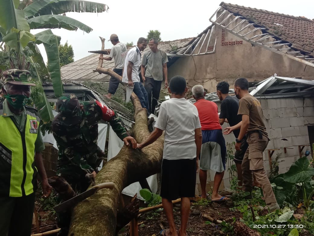 1 Rumah Tertimpa Pohon Akibat Hujan Deras dan Tiupan Angin Kencang