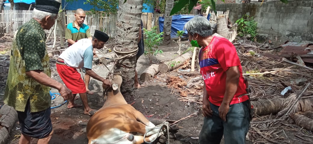 Pemkab dan Masyarakat Selayar Sembelih 668 Ekor Hewan Qurban