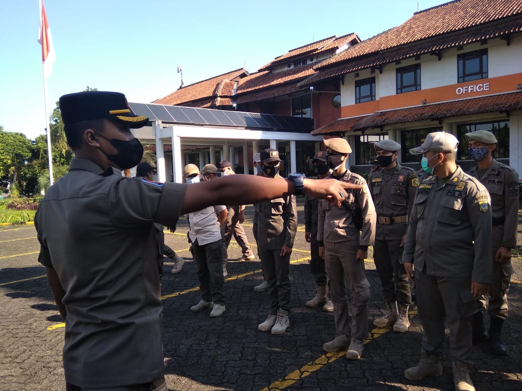 Satuan Polisi Pamong Praja, 