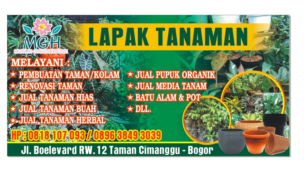 Lapak Tanaman Hias Muslih Green House