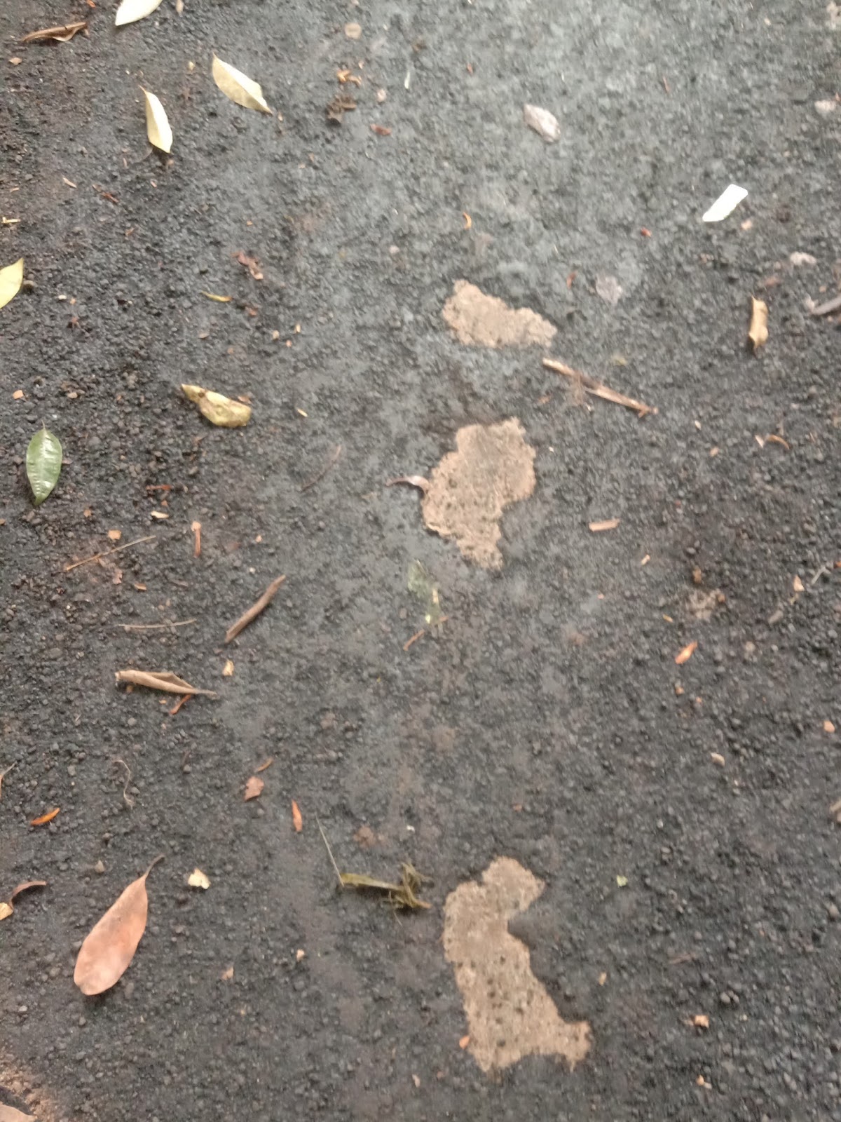 Miris !!! Baru 4 Hari Pengerjaan, Banyak Aspal yang Terkelupas