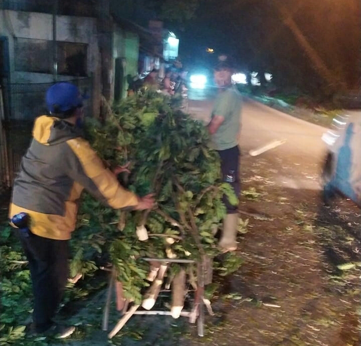 Cegah Bahaya, Destana Desa Kota Batu Pangkas Pohon