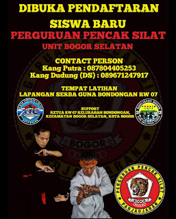 Pencak Silat Sebagai Warisan Budaya Seni Bela Diri