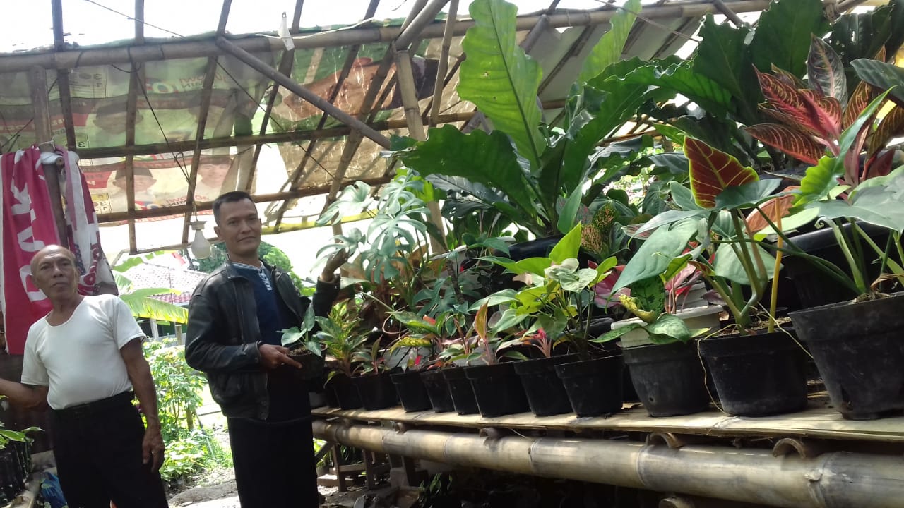 Encam Supardi: Sebut Tanaman Hias Harus Jadi Komoditas Unggulan di Kabupaten Bogor