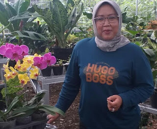 Ade Yasin Bupati Bogor, Sebut Tanaman Hias Harus Jadi Komoditas Unggulan di Kabupaten Bogor